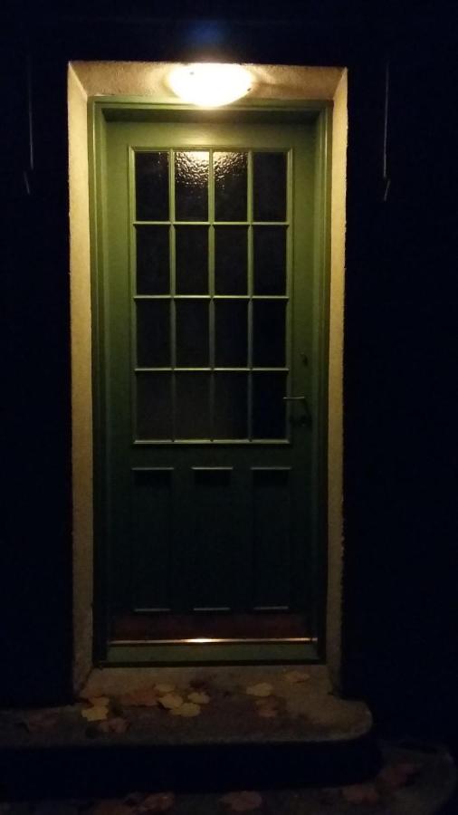 זאגרב Studio Apartment - Green Door מראה חיצוני תמונה